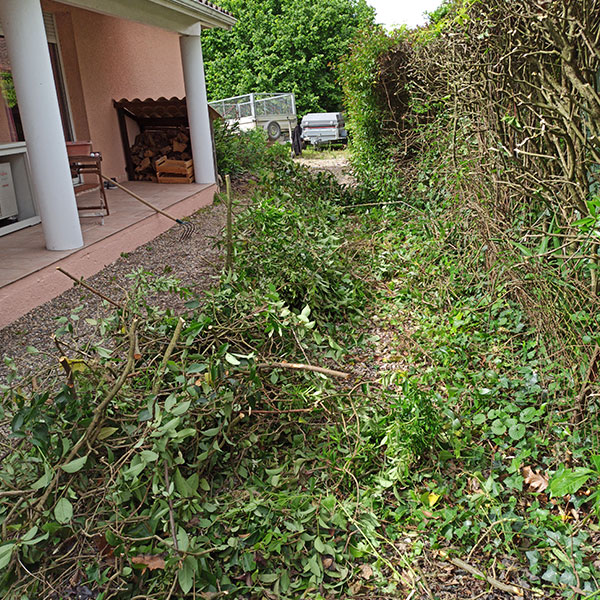 aménagement jardin Tarn-et-Garonne